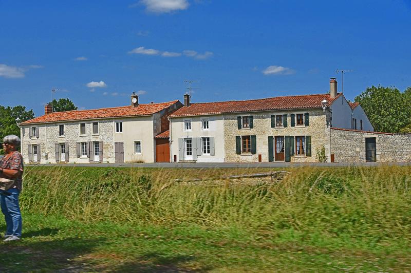 min 2025 06 08 Marais Poitevin 175